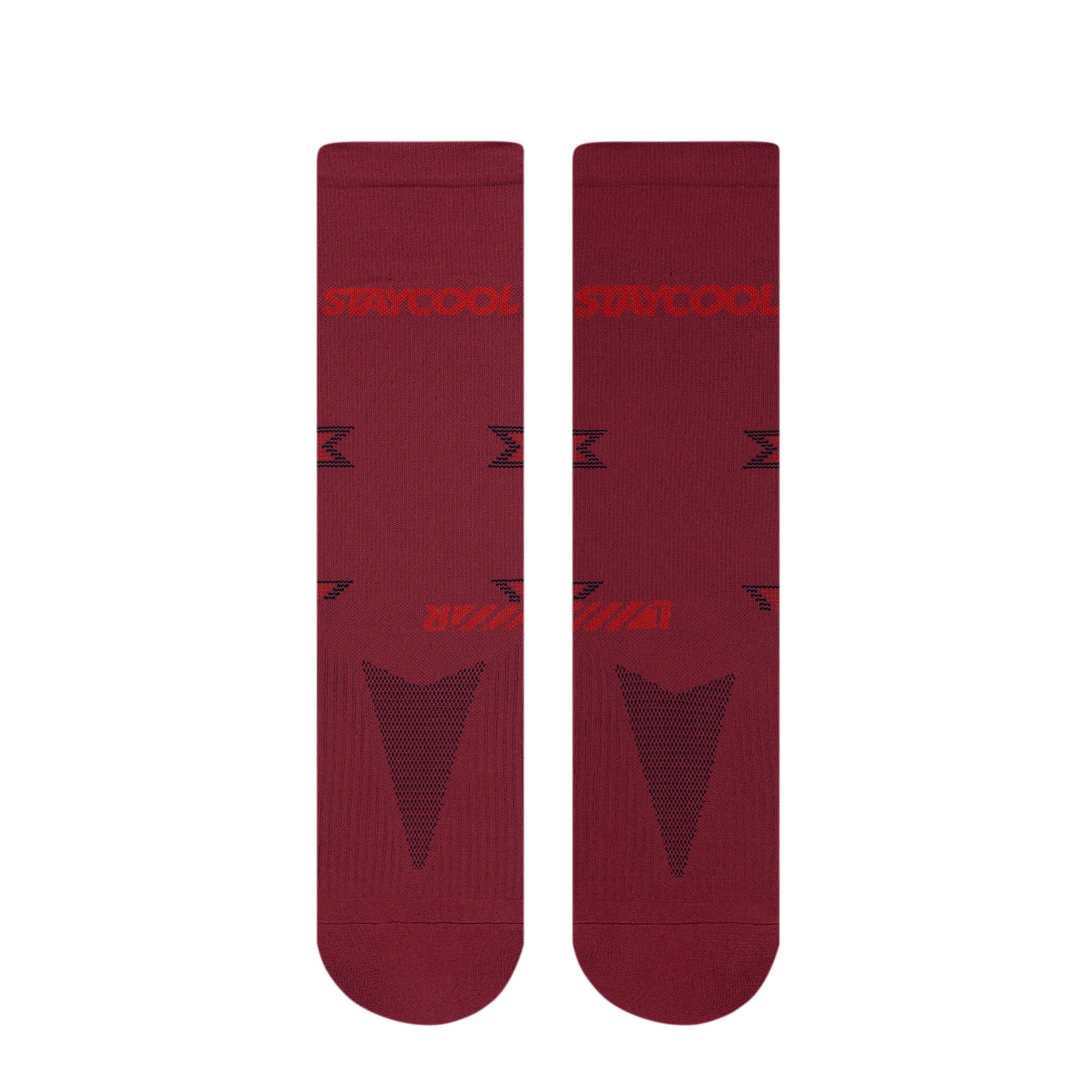 MOTION 2.0 - MAROON