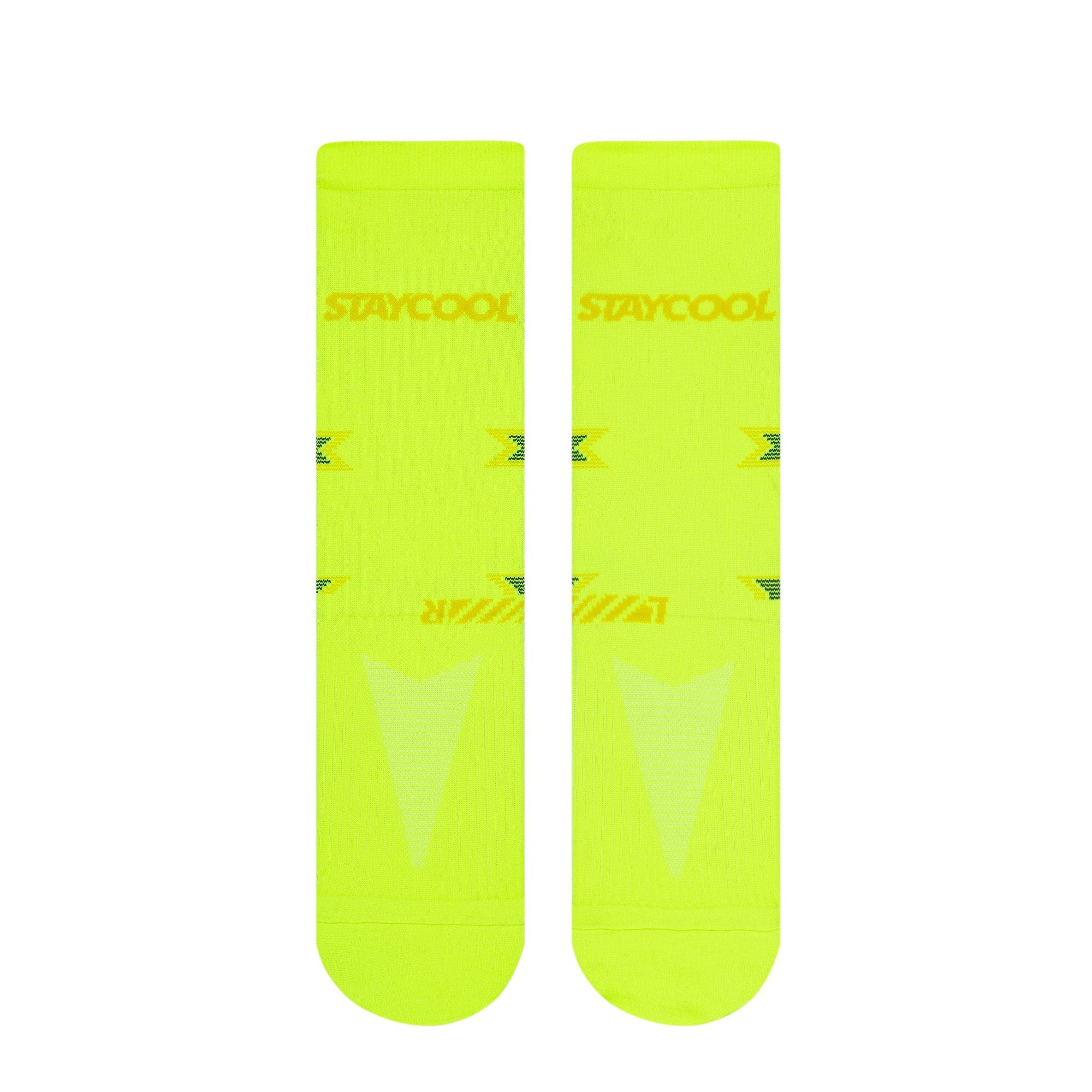 MOTION 2.0 - NEON